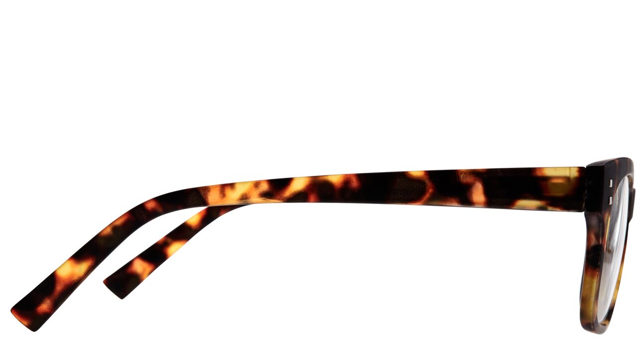 DAILY EYEWEAR - Glasses - Designer Clothing Gallery | Women's Online Designer Clothing