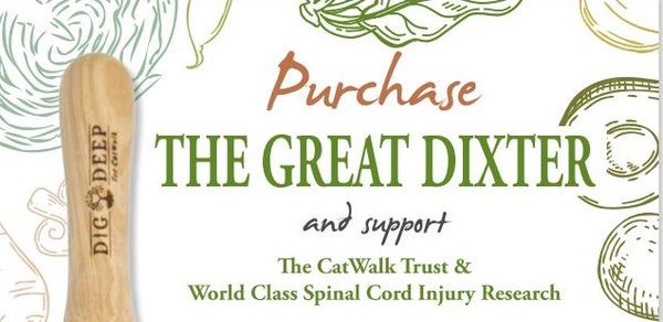 The DigDeep4CatWalk Initiative