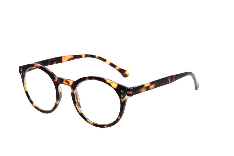 DAILY EYEWEAR - Glasses - Designer Clothing Gallery | Women's Online Designer Clothing